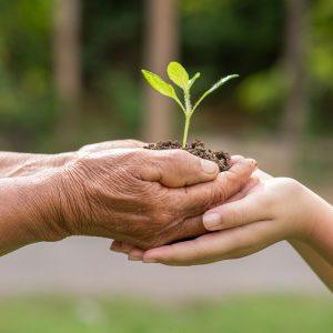 Saiba a importância da sustentabilidade na sua Empresa