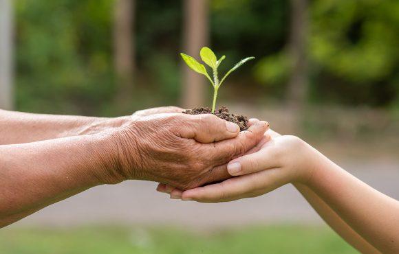 Saiba a importância da sustentabilidade na sua Empresa