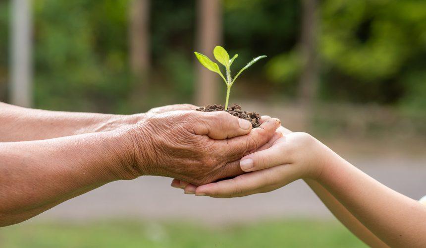 Saiba a importância da sustentabilidade na sua Empresa