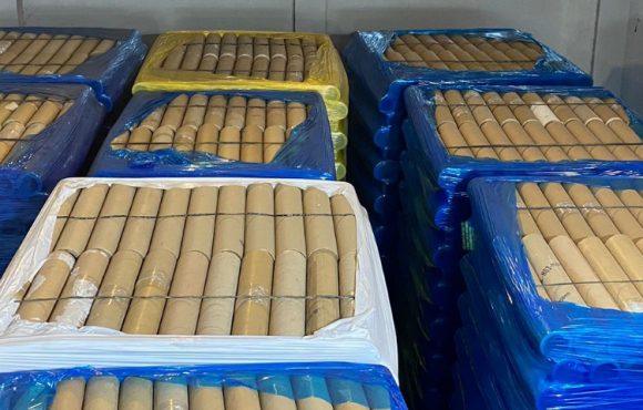 História e missão da GreenPack: a empresa que traz total segurança a sua valiosa mercadoria.