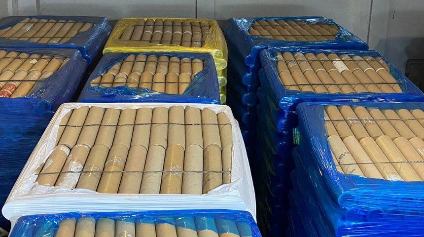 História e missão da GreenPack: a empresa que traz total segurança a sua valiosa mercadoria.